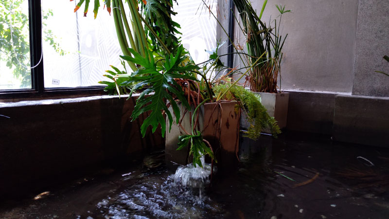 Đánh giá Asus Zenfone Max M2 Đánh giá Asus Zenfone Max M2