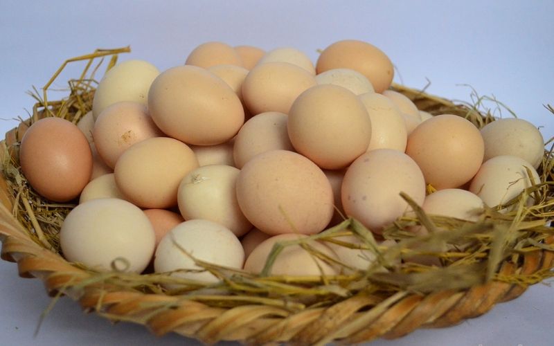 Treat acne with chicken eggs