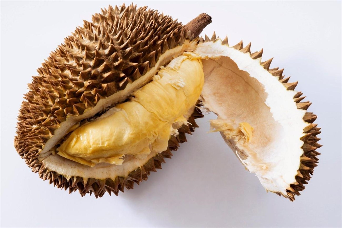 Durian shell