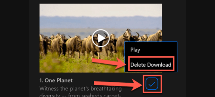 Bạn chỉ cần chọn vào video bạn muốn xóa > Hãy nhấn biểu tượng dấu tick ở góc dưới cùng bên phải > Sau đó chọn Delete Download.