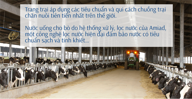 Quy trình chăn nuôi đạt chuẩn