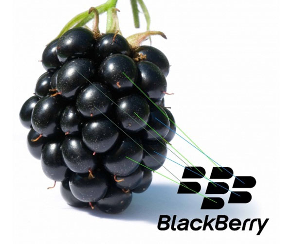 tên gọi blackberry