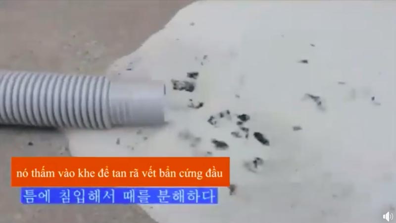 Chỉ cần ngâm thứ này và xả nước thì mọi vết bẩn trên bồn cầu, lồng giặ