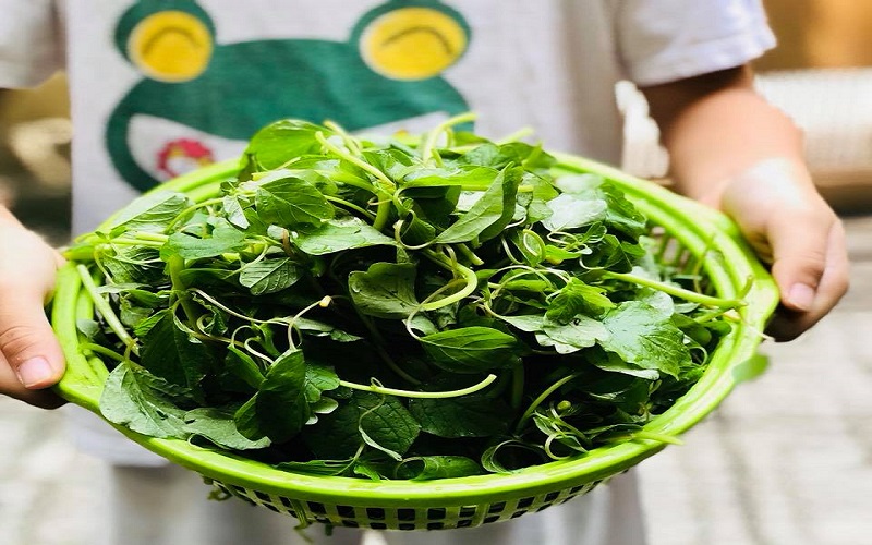 Mẹ bầu có nên ăn rau dền không?