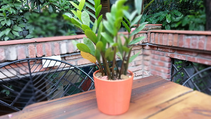 Đánh giá Huawei Y9 Prime Đánh giá Huawei Y9 Prime