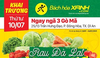 Cửa hàng Bách hoá XANH 25/13 Trần Hưng Đạo khai trương 10/7/2019