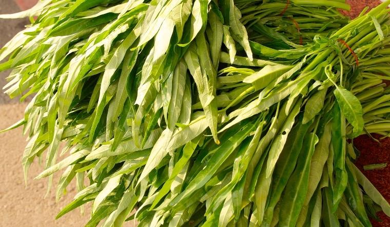 Người bệnh trĩ đừng bỏ qua rau muống trong thực đơn của mình