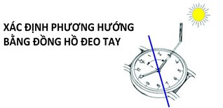 Cách xác định phương hướng bằng đồng hồ đeo tay cực đơn giản