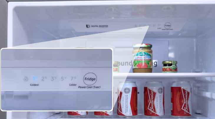 Đánh giá tổng quan tủ lạnh Samsung Inverter 307 lít RB30N4180B1/SV > Bảng điều khiển ngăn đá - Tủ lạnh Samsung Inverter 307 lít RB30N4180B1/SV