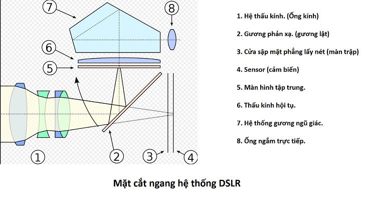 Cấu tạo của máy ảnh DSLR