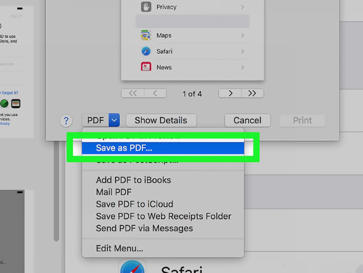 Chọn PDF > Save as PDF