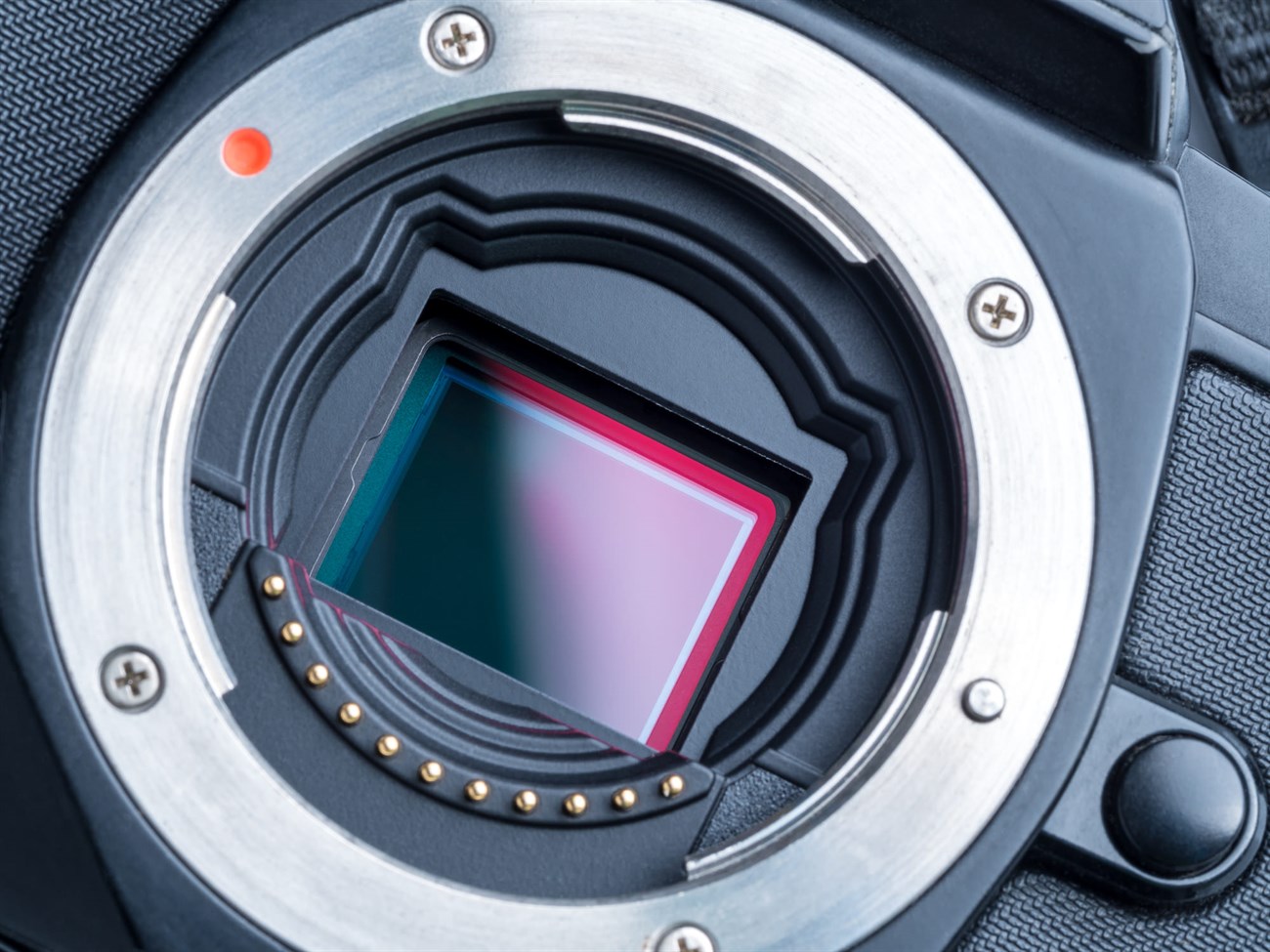 Sensor trong máy ảnh là gì? Hiểu rõ các loại và công nghệ mới nhất