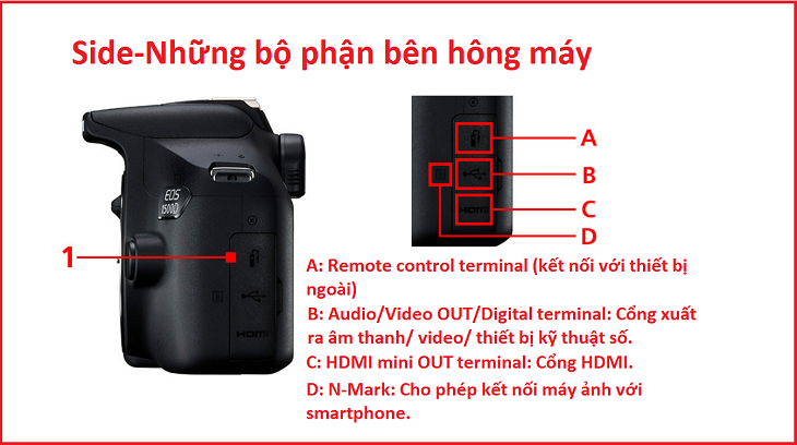 Những bộ phận bên hông máy