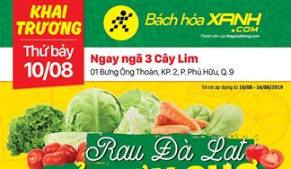 Cửa hàng Bách hoá XANH 01 Bưng Ông Thoàn, Quận 9 khai trương 10/8/2019
