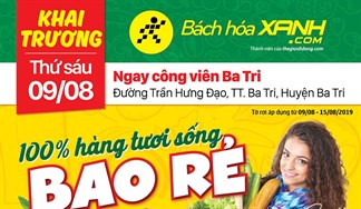 Cửa hàng Bách hoá XANH Trần Hưng Đạo, Ba Tri khai trương 10/8/2019