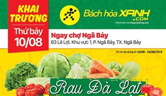 Cửa hàng Bách hoá XANH 83 Lê Lợi, Ngã Bảy khai trương 10/8/2019