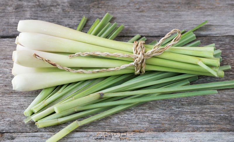 Recipe for foot bath with lemongrass