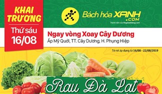 Cửa hàng Bách hoá XANH Ấp Mỹ Quới, TT Cây Dương khai trương 16/8/2019