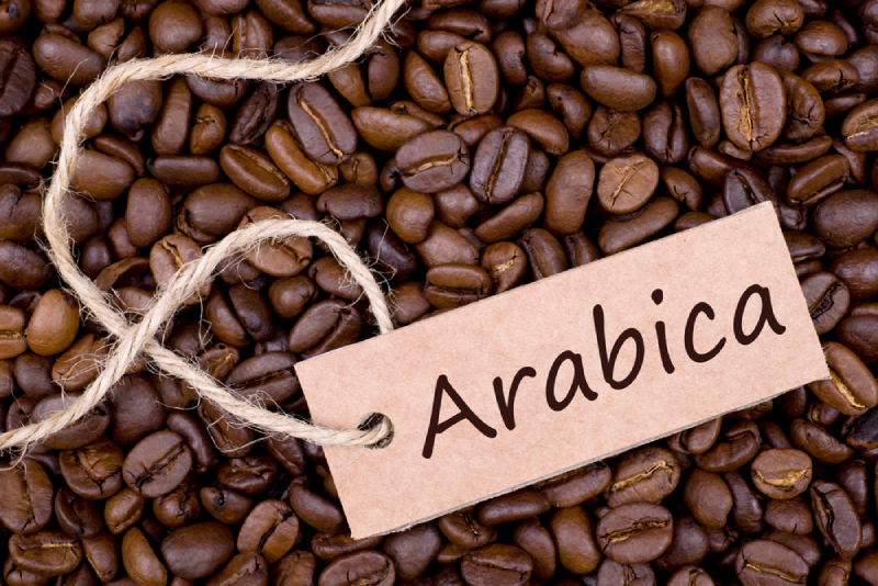 Cà phê Arabica Cà phê Arabica