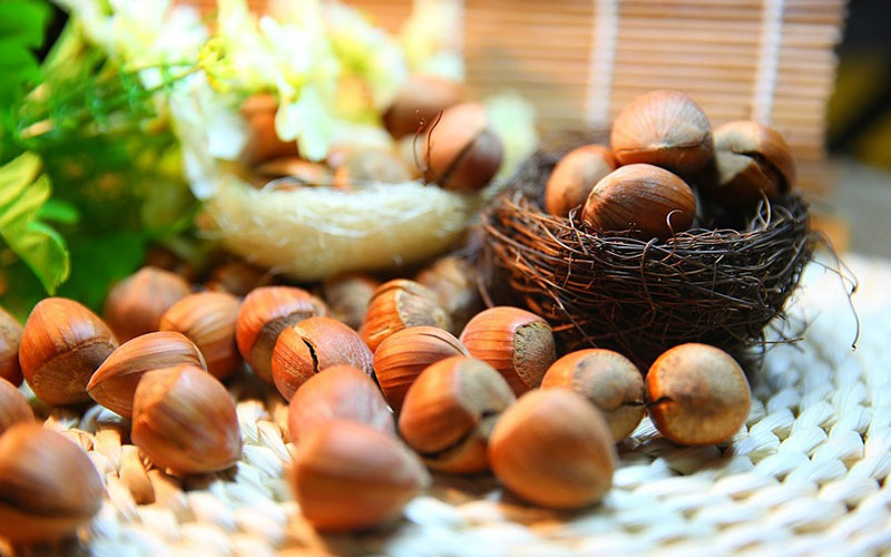 What are Hazelnuts? Effects and how to eat Hazelnut properly