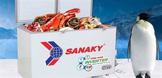 4 lí do bạn nên có một chiếc tủ đông cho gia đình đơn giản nhất