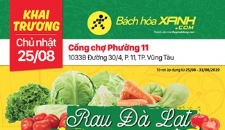 Cửa hàng Bách hoá XANH 1033B Đường 30/4,Vũng Tàu khai trương 25/8/2019