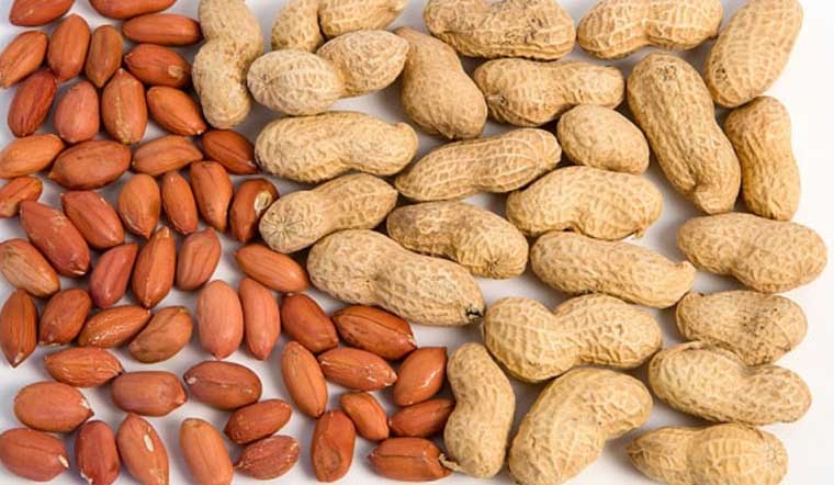 Peanut là gì? Tác dụng của Peanut đối với sức khoẻ