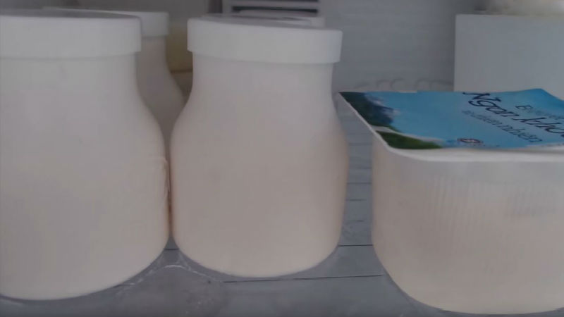 Bảo quản sữa chua vào ngăn đá tủ lạnh