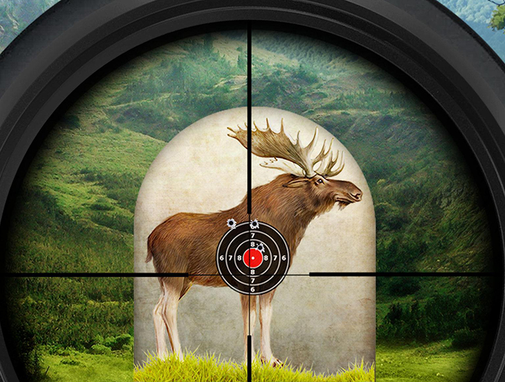 Moose Target Shooting