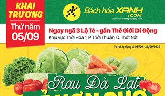 Cửa hàng Bách hoá XANH Khu Vực Thới Hòa 1 khai trương 5/9/2019