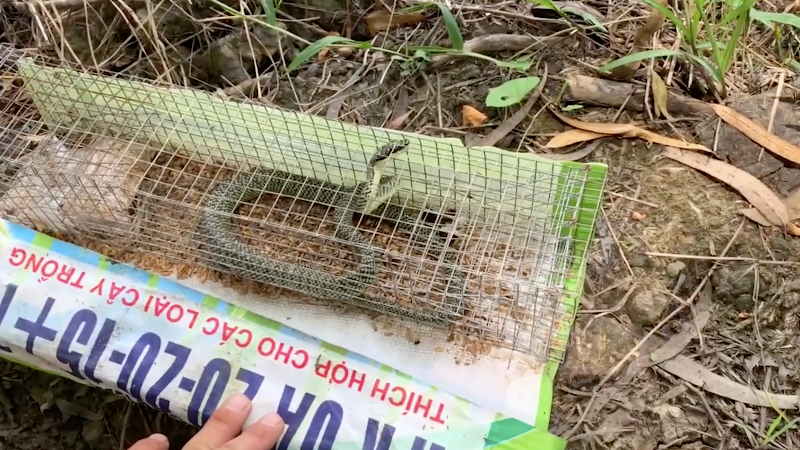 Hành trình khám phá Cầu Kè - Trà Vinh phần 2