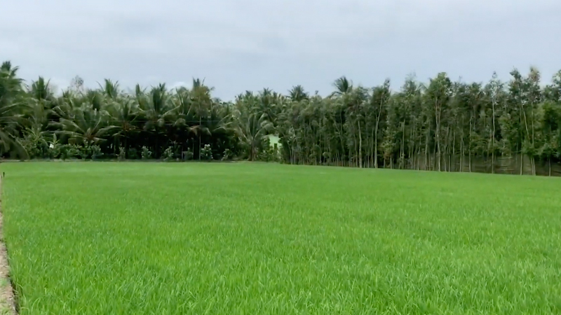 Hành trình khám phá Cầu Kè - Trà Vinh phần 2