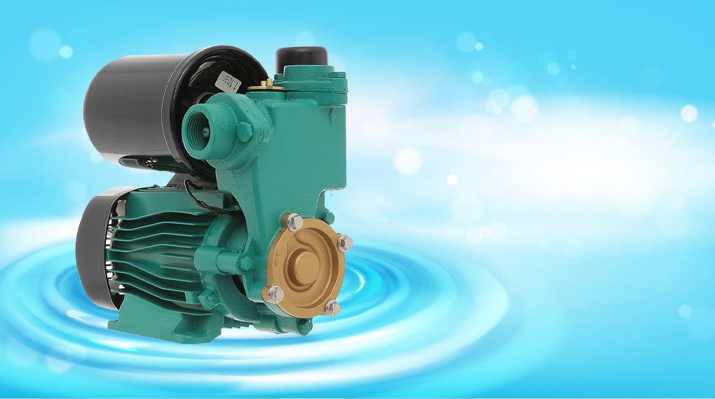 Máy bơm Kangaroo của nước nào? Có tốt không? Có nên mua không?