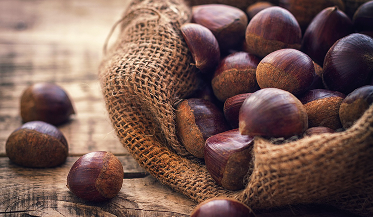 Hạt Chestnut là gì và tác dụng của hạt Chestnut với sức khỏe