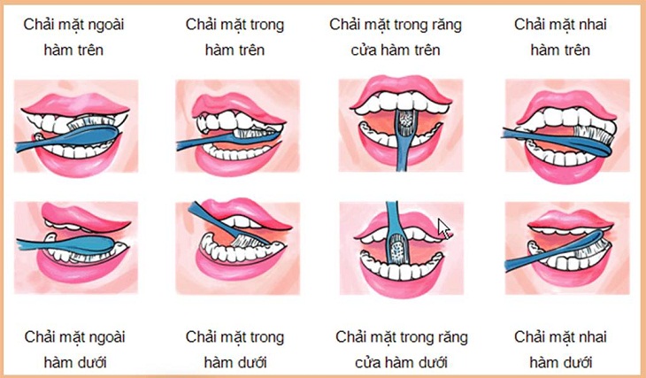 Thế nào là chăm sóc và vệ sinh răng miệng đúng cách?