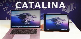 Hướng dẫn cách đăng ký và cập nhật sớm hệ điều hành macOS Catalina