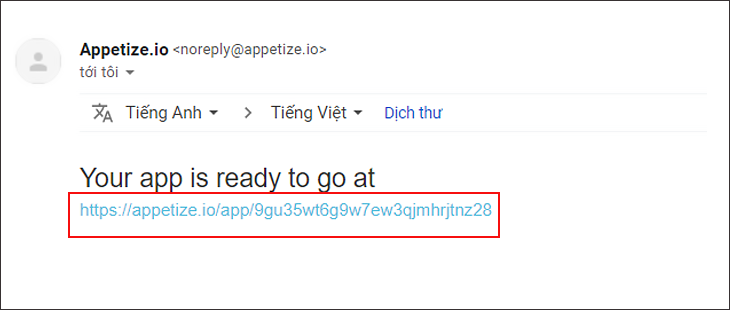 Bạn vào mail và tìm thư của Appetize.io
