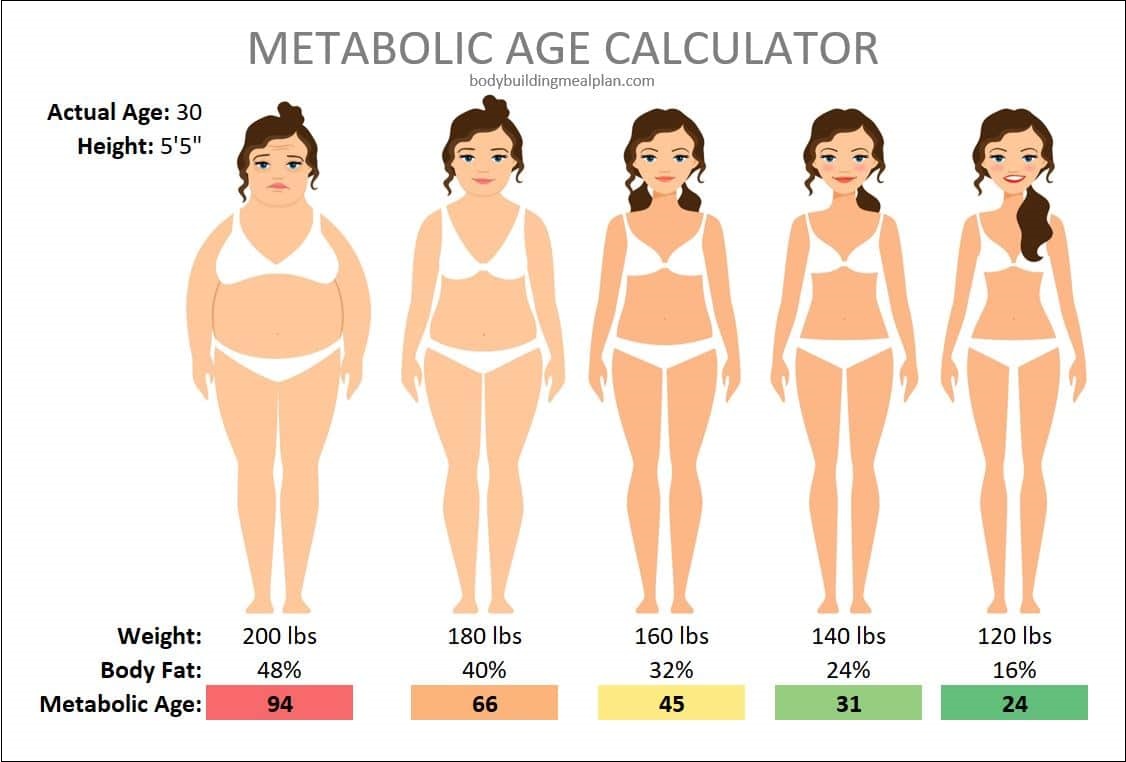 Tuổi chuyển hóa (Metabolic Age)