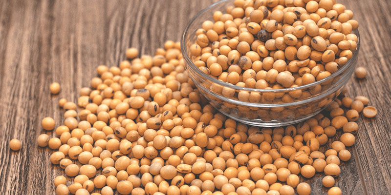 What are Soy Beans? The effect of Soy Bean seeds on health and beauty