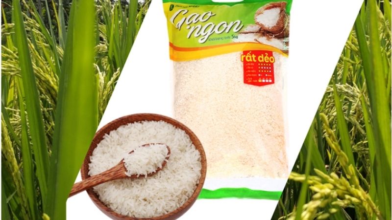 Gạo ngon Bách hóa XANH