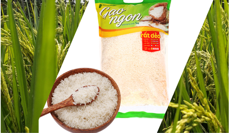 Gạo ngon giá tốt do Bách hoá XANH cung cấp Gạo ngon giá tốt do Bách hoá XANH cung cấp