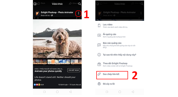 Chọn vào video bạn muốn tải > Chọn dấu 3 chấm ở trên video > Chọn Sao chép địa chỉ liên kết