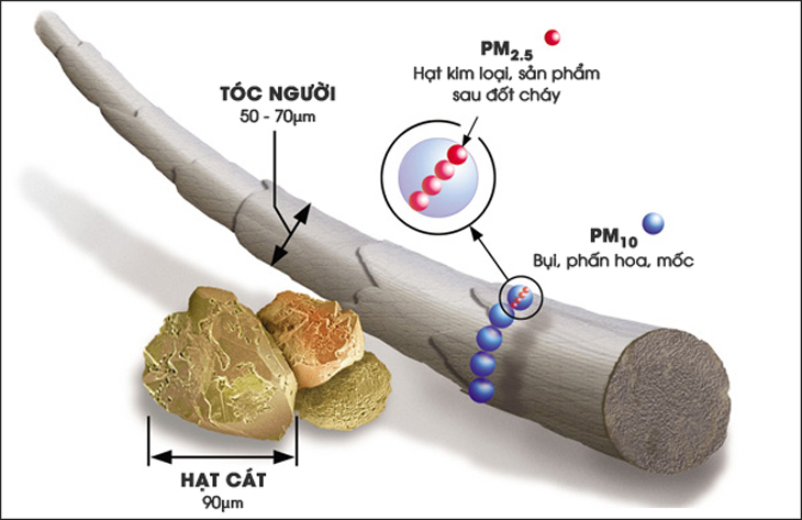 PM 2.5 là gì? Tìm hiểu tác động và cách bảo vệ sức khỏe hiệu quả