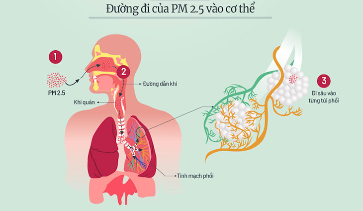 Bụi mịn PM2.5 là gì? Tác hại và cách phòng tránh bụi mịn PM2.5