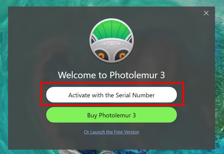 Hướng dẫn tải bản quyền miển phí Photolemur 3 - Bước 6