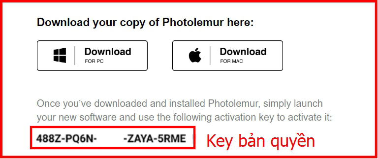 Hướng dẫn tải bản quyền miển phí Photolemur 3 - Bước 3