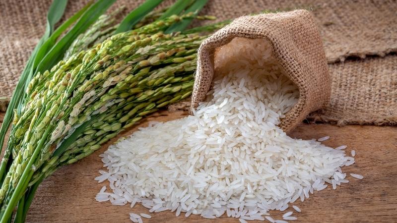Gạo hữu cơ là gì và có thực sự an toàn để sử dụng hay không?