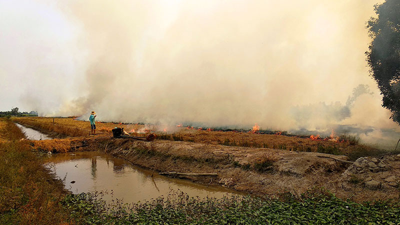 Why does burning straw cause pollution and how to treat it to help protect the environment?