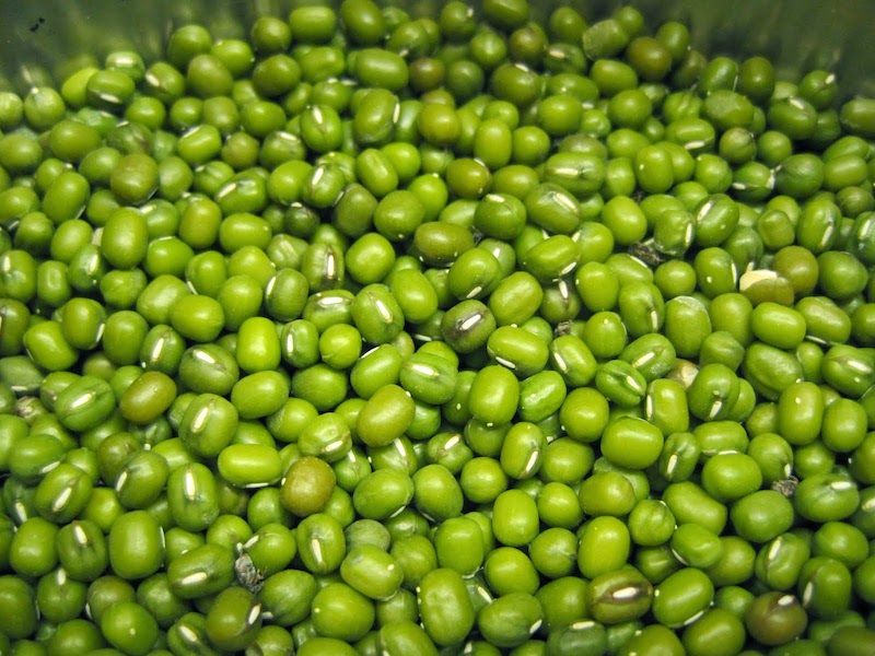 Mung Bean là gì? Những lợi ích và lưu ý khi sử dụng Mung Bean 