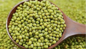 Mung Bean là gì? Những lợi ích và lưu ý khi sử dụng Mung Bean